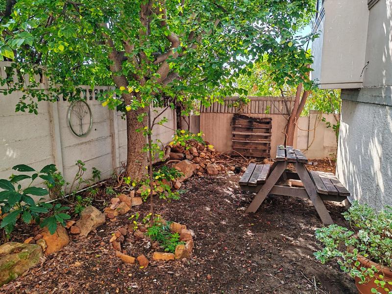 To Let 2 Bedroom Property for Rent in Vredehoek Western Cape